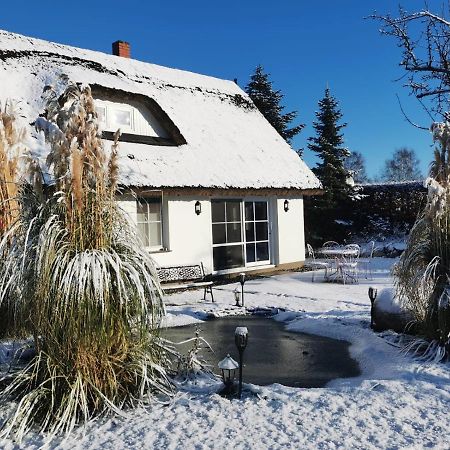 Reetferienhaus - Schaprode Hafen Eksteriør billede
