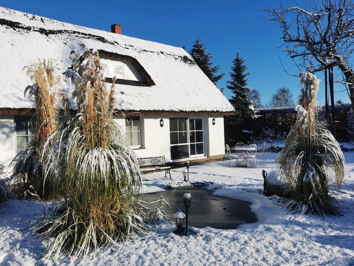 Reetferienhaus - Schaprode Hafen Eksteriør billede