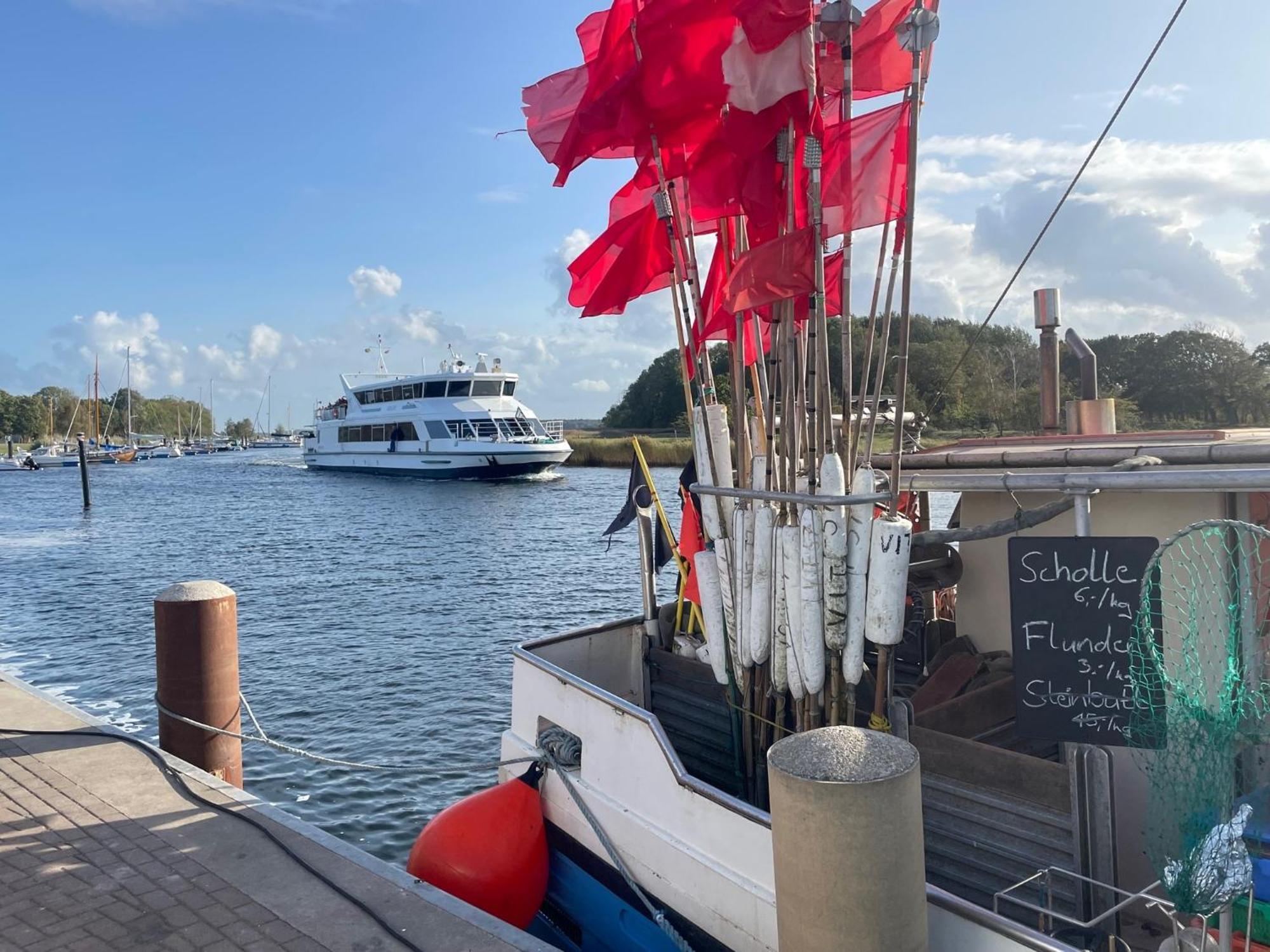 Reetferienhaus - Schaprode Hafen Eksteriør billede